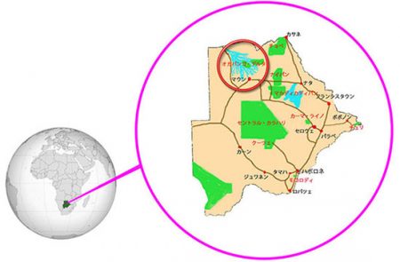 オカバンゴ・デルタ所在地